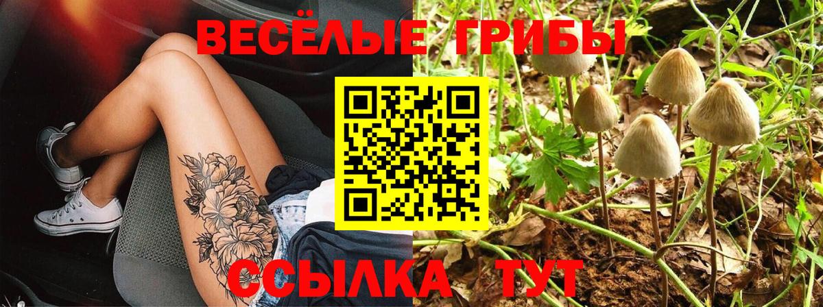 Галлюциногенные грибы GOLDEN TEACHER Асбест